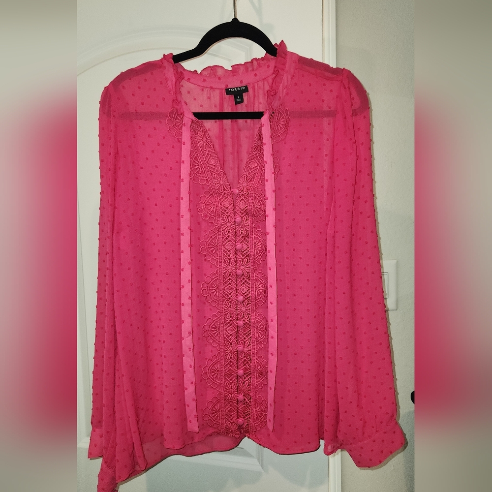 Chic Pink Sheer Blouse